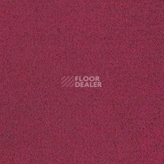 Ковролин Radici Oceania Bordeaux 2102 фото 1 | FLOORDEALER